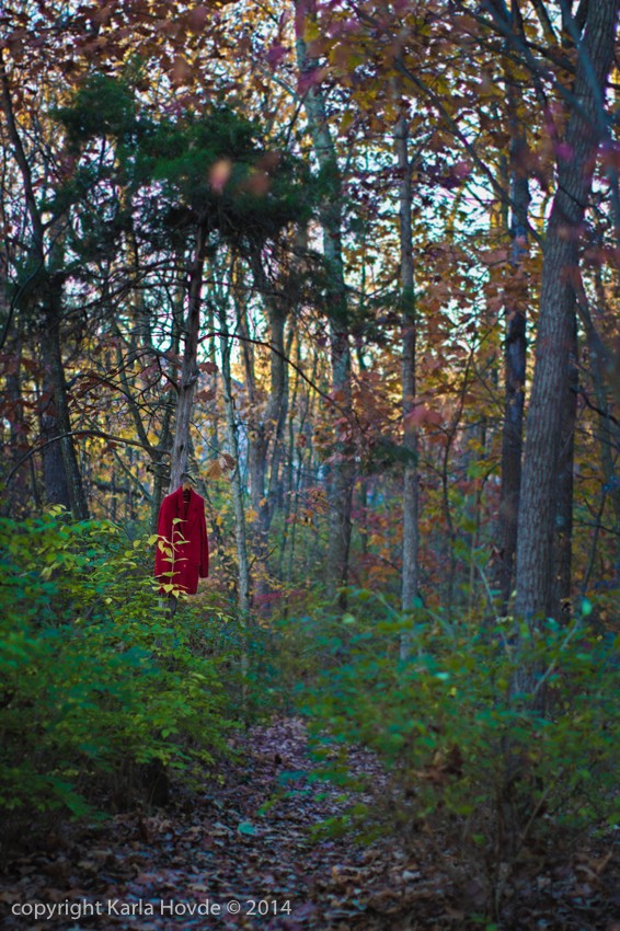 Wardrobe in the Woods © Karla Hovde 2014