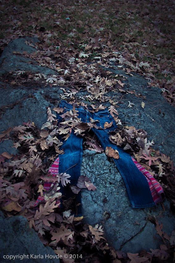 Wardrobe in the Woods © Karla Hovde 2014